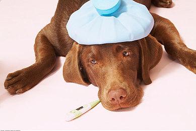 《傀儡禁域》Steam页面上线 生存恐怖动作冒险